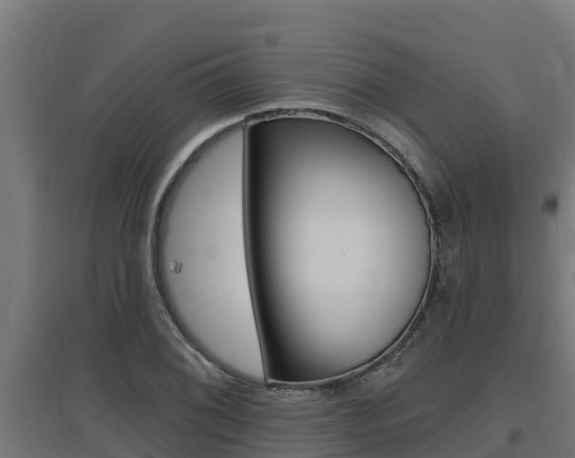 X0000097671076200802290940
