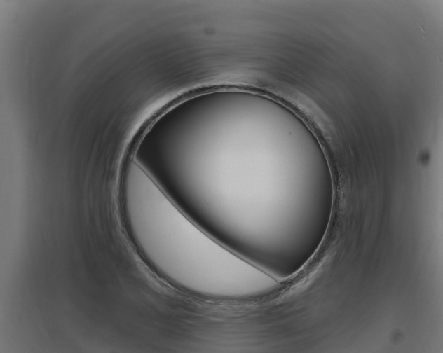 X0000097671077200802290940