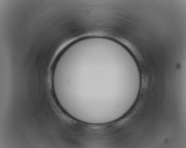 X0000097671078200802290940