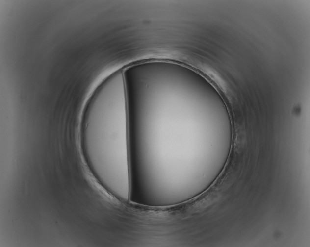 X0000097671080200802290940