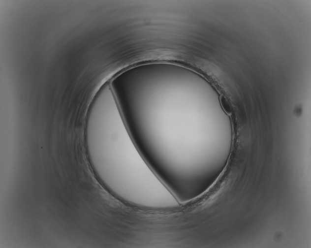 X0000097671081200802290940
