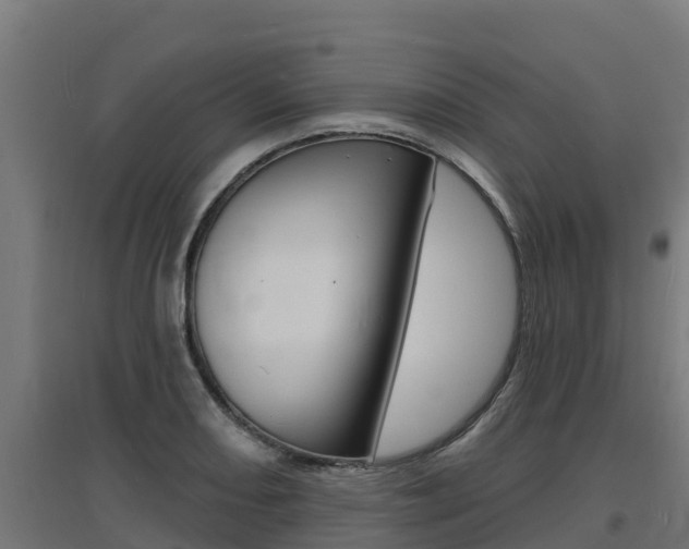 X0000097671082200802290940
