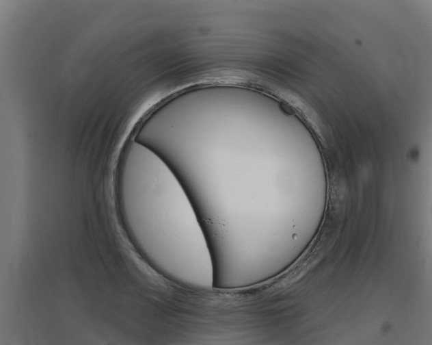 X0000097671083200802290940