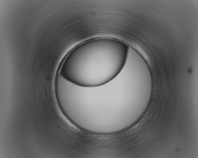 X0000097671084200802290940