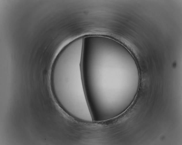 X0000097671085200802290940