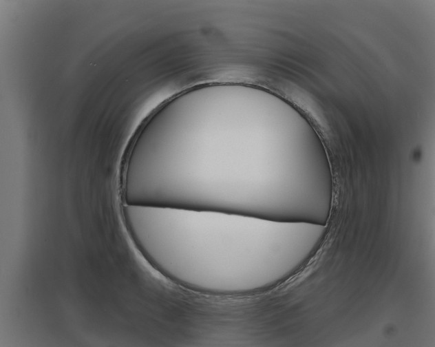 X0000097671087200802290940