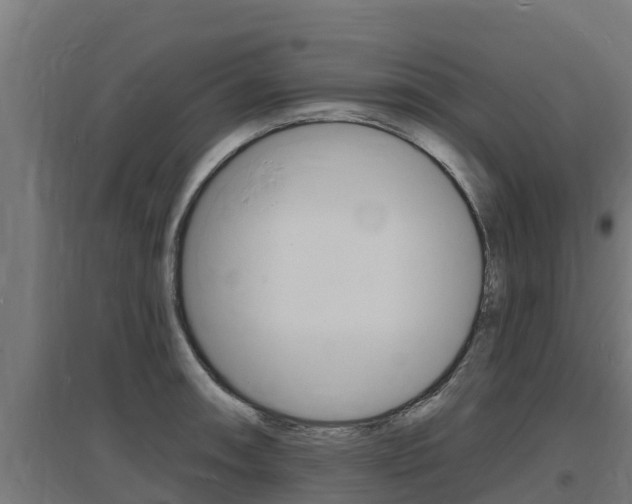 X0000097671090200802290940