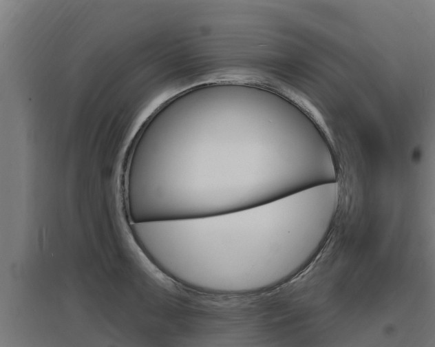 X0000097671091200802290940