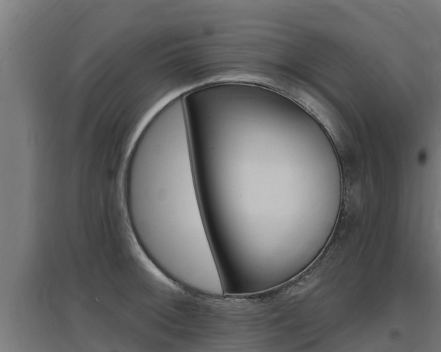 X0000097671092200802290940