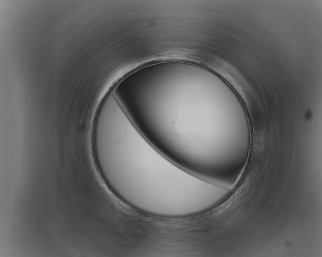 X0000097671093200802290940