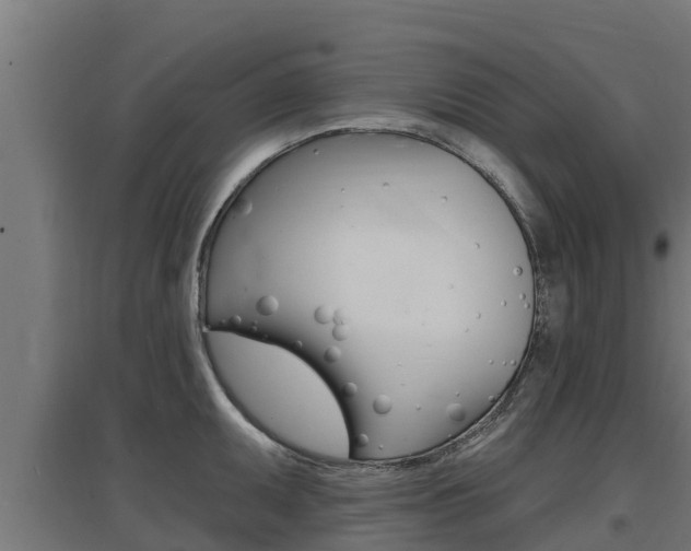 X0000097671095200802290940