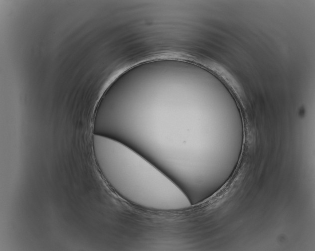 X0000097671097200802290940