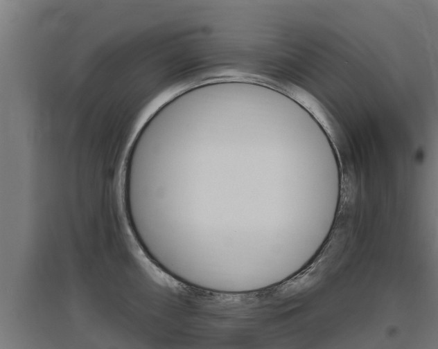 X0000097671098200802290940