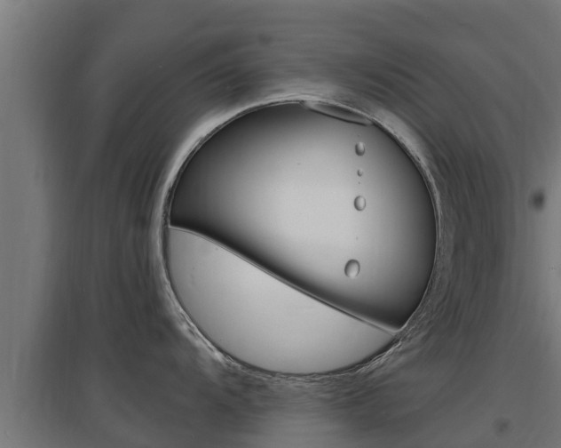 X0000097671104200802290939
