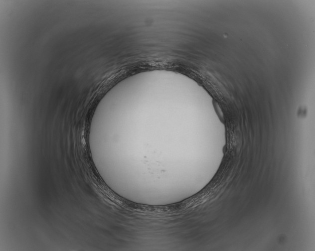 X0000097671106200802290939