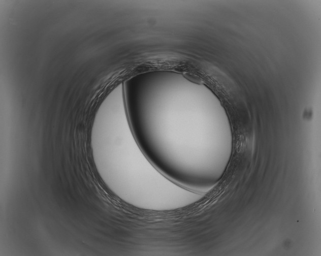 X0000097671108200802290939