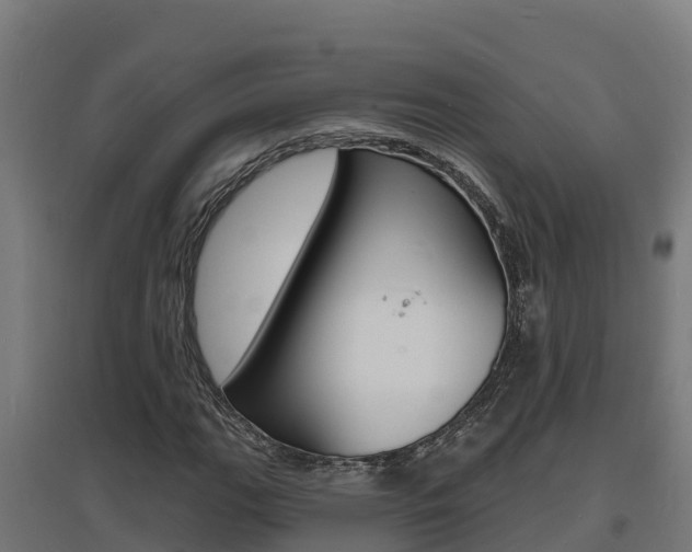 X0000097671111200802290939