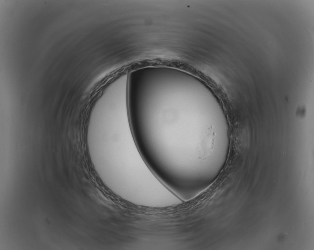 X0000097671112200802290939