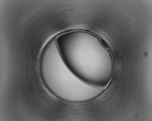 X0000097671116200802290939
