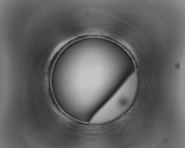 X0000097671120200802290939