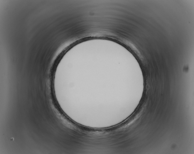 X0000097671122200802290939