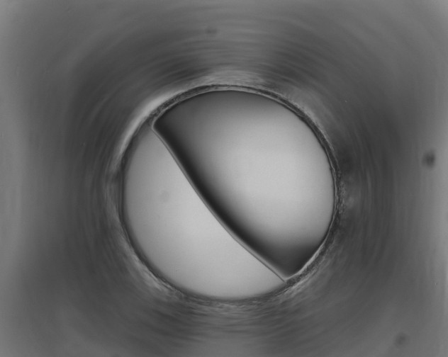 X0000097671123200802290939
