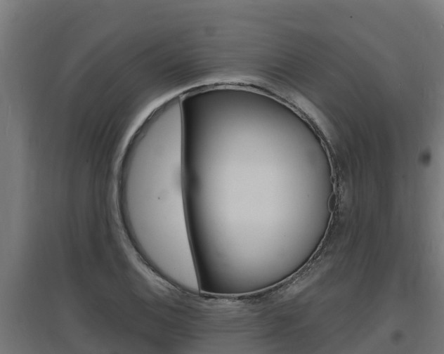 X0000097671124200802290939