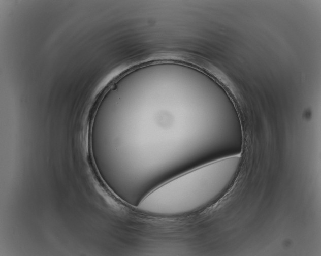 X0000097671127200802290939