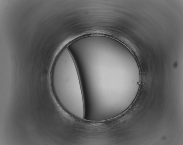 X0000097671133200802290939