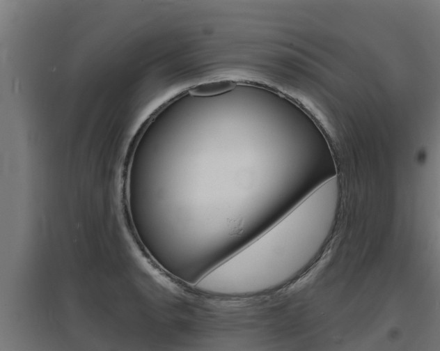 X0000097671134200802290939
