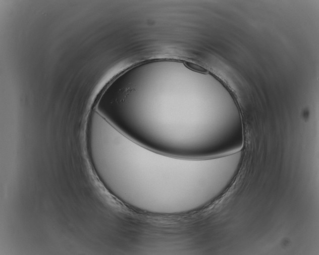 X0000097671138200802290939