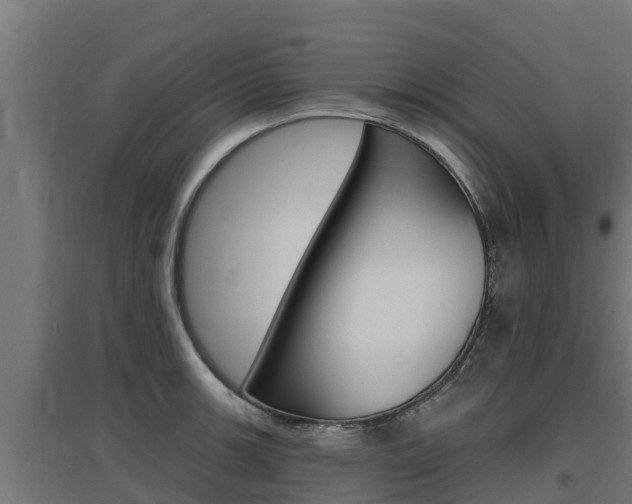 X0000097671139200802290939