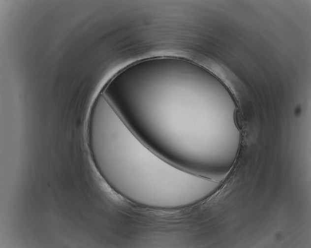 X0000097671140200802290939