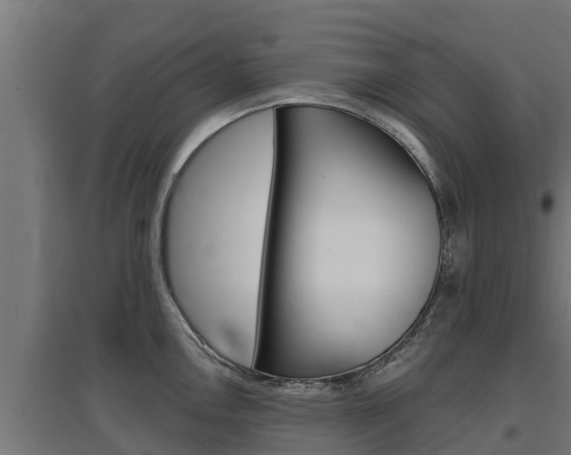 X0000097671146200802290939