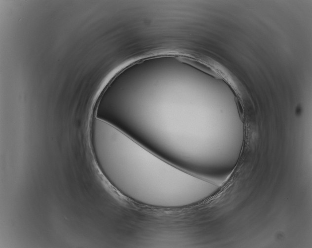 X0000097671148200802290939