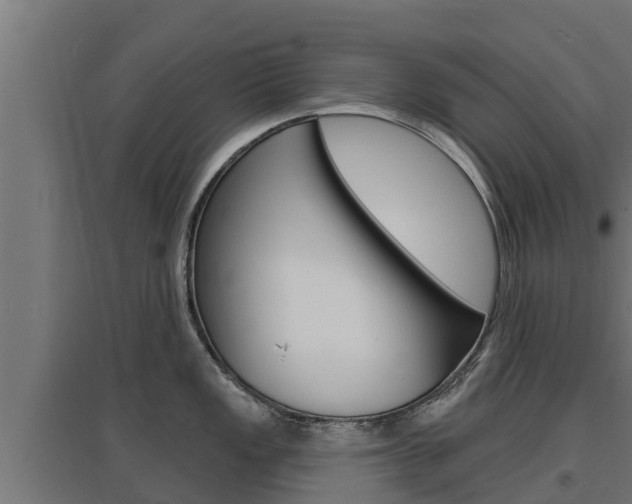 X0000097671149200802290939