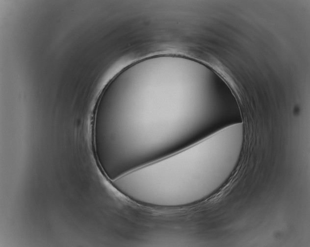 X0000097671151200802290939