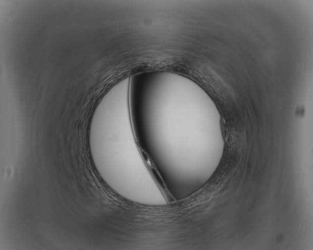 X0000097671153200802290939