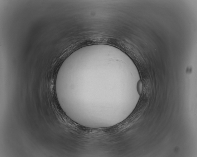 X0000097671154200802290939