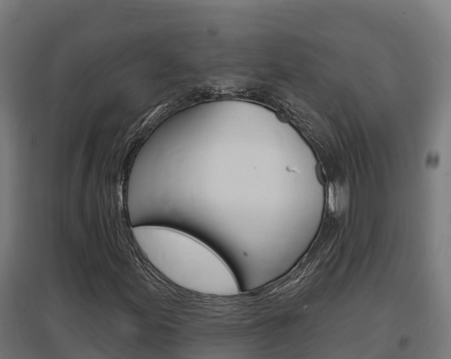 X0000097671155200802290939