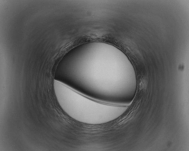 X0000097671156200802290939
