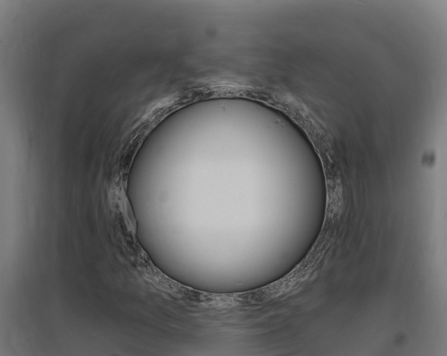 X0000097671157200802290939