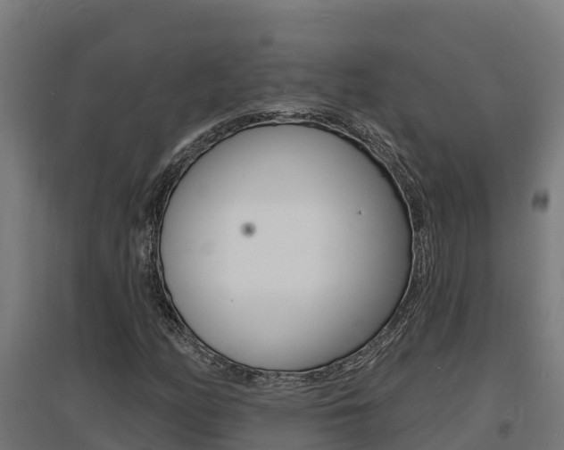 X0000097671158200802290938