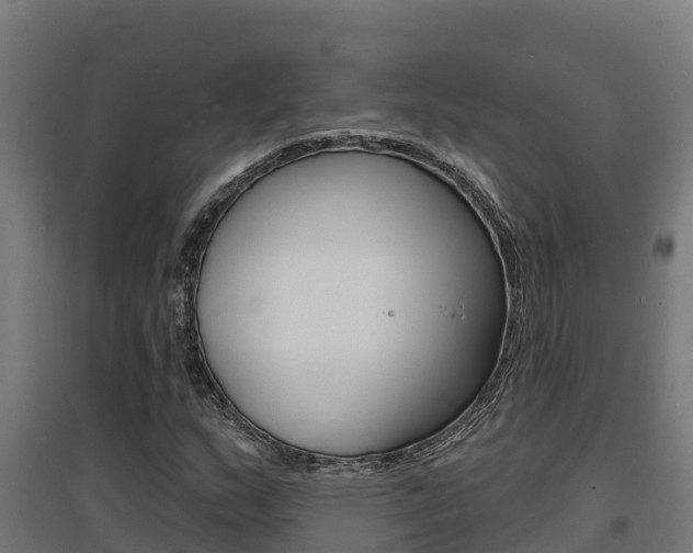 X0000097671159200802290938