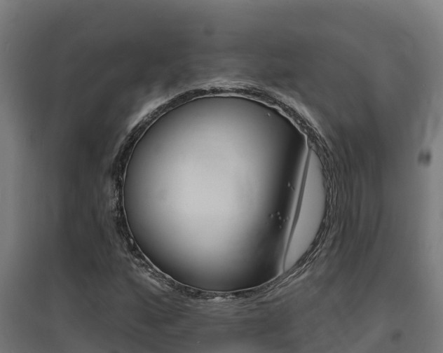 X0000097671160200802290938