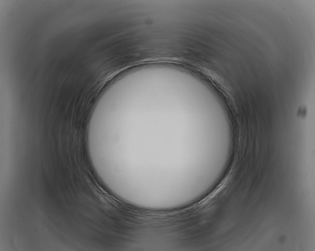 X0000097671161200802290938