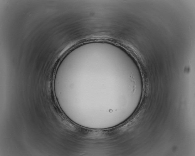 X0000097671162200802290938