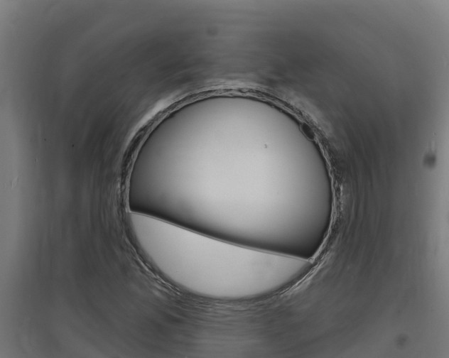 X0000097671165200802290938