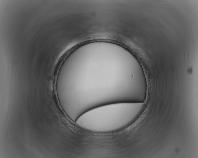 X0000097671166200802290938