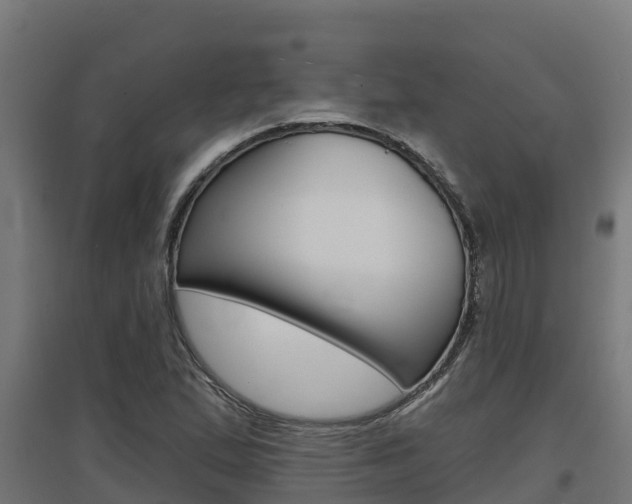 X0000097671167200802290938